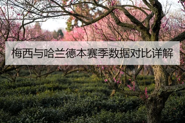 梅西与哈兰德本赛季数据对比详解