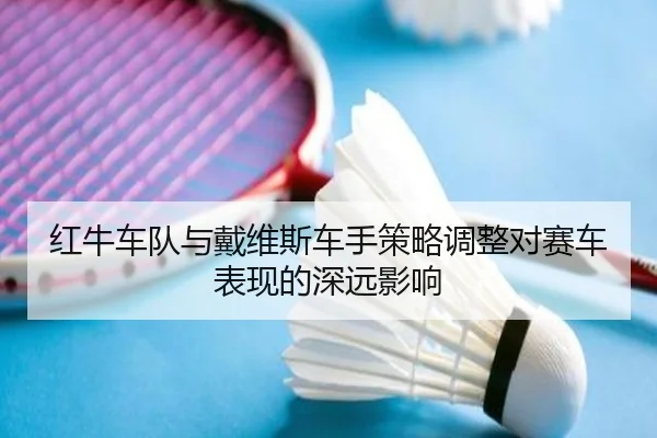 红牛车队与戴维斯车手策略调整对赛车表现的深远影响